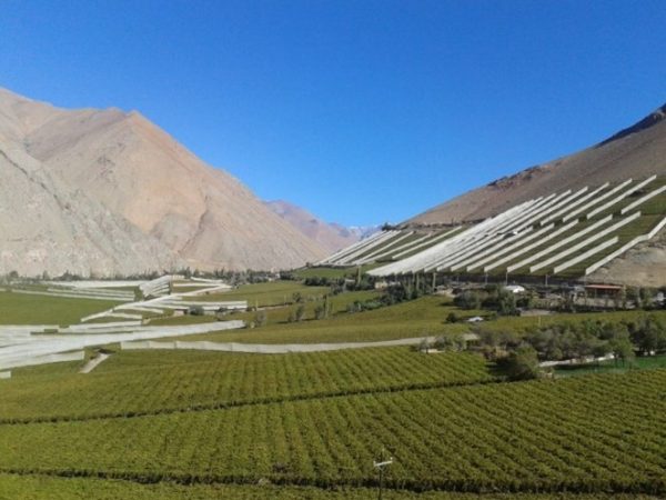 Valle del Elqui + Pisquera ABA + Faro Monumental